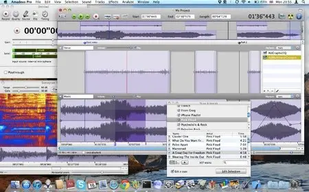 Amadeus Pro v2.1.5 (Mac OS X)