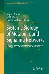 Systems Biology of Metabolic and Signaling Networks: Energy, Mass and Information Transfer