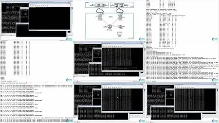 Overlay SDN Solutions (Network Virtualization) Introduction