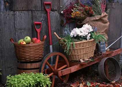 Gardening I