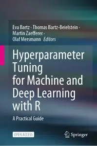 Hyperparameter Tuning for Machine and Deep Learning With R: A Practical Guide