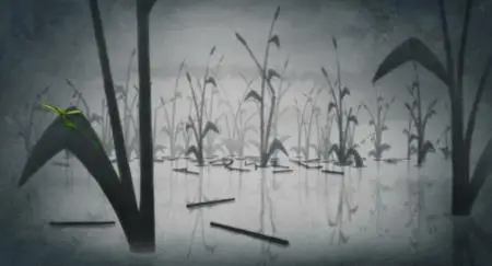 Bird Karma (2018)
