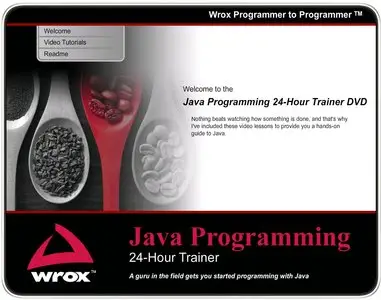 Java Programming 24-Hour Trainer (2011)