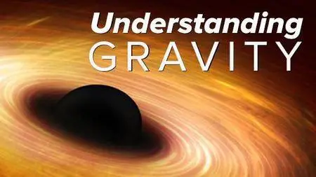 Black Holes, Tides, and Curved Spacetime: Understanding Gravity