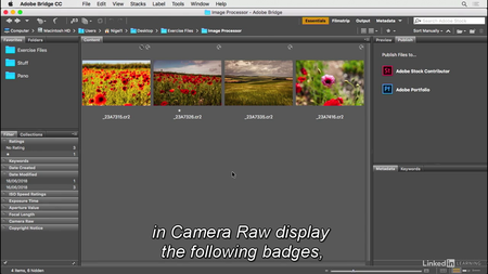 Lynda - Photoshop for Designers: Working with Bridge