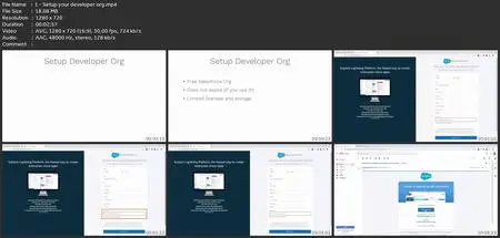 Salesforce Apex: The Complete Introduction For Beginners