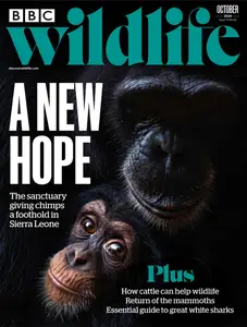 BBC Wildlife - October 2024