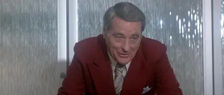 Revenge of the Pink Panther (1978)