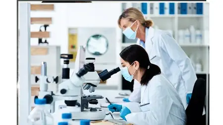 Mastering Good Clinical Practice A Comprehensive Training