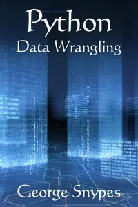 Python Data Wrangling for Business Analytics: Python for Business Analytics Series