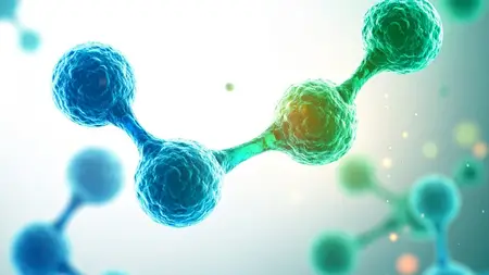 Immunology-Fight Against Diseases