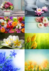 Different Flowers