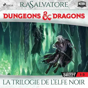 R.A. Salvatore, "Compilation Dungeons & Dragons: La Trilogie de l'Elfe noir, Vol. 1-3"