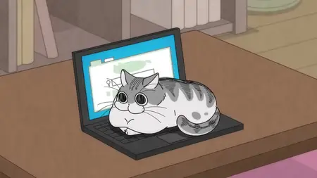 Nights with a Cat (2022 S02E04 Night 34 Cat on the Keyboard pspspsps mkv vol07+02