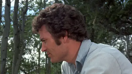 The Bears and I (1974)