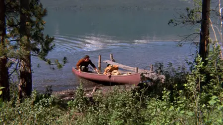 The Bears and I (1974)