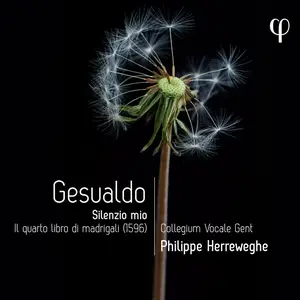 Collegium Vocale Gent & Philippe Herreweghe - Gesualdo: Silenzio mio. Il quarto libro di madrigali (2024)