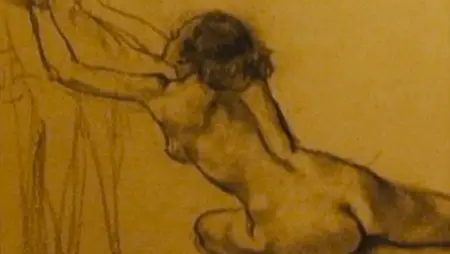 Wilde Salomé (2013)
