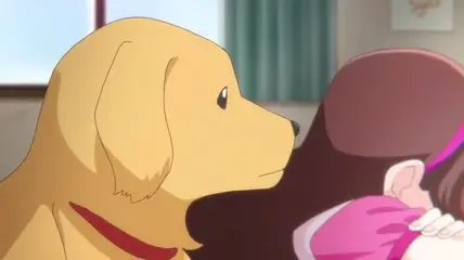 S01E28 Woof Woof Together With Kyu-chan 240p CR