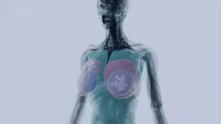 BBC - Body Matters: Learning Zone (2012)