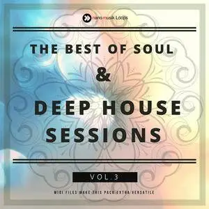 Nano Musik Loops The Best Of Soul and Deep House Sessions Vol 3 WAV MiDi