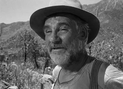 The Treasure of the Sierra Madre (1948)