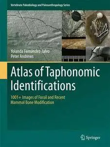Atlas of Taphonomic Identifications: 1001+ Images of Fossil and Recent Mammal Bone Modification