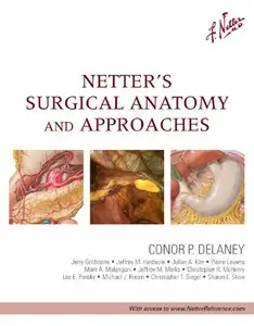 Netter's Surgical Anatomy and Approaches, 1e (Repost)