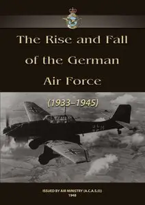 The Rise and Fall of the German Air Force (RAF at War)