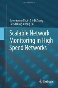 Scalable Network Monitoring in High Speed Networks (repost)