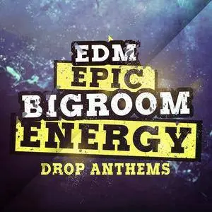 Mainroom Warehouse EDM Epic Bigroom Energy Drop Anthems MULTiFORMAT