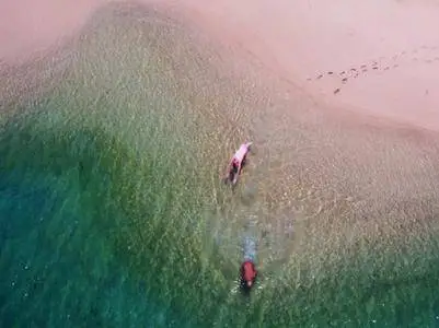 Martin Clunes - Islands of Australia: Episode 1 (2017)