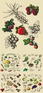 Hand Drawn Products Vector
