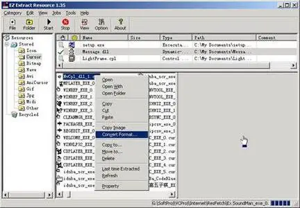EZ Extract Resource v2.24 
