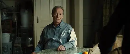 Sunshine on Leith (2013)