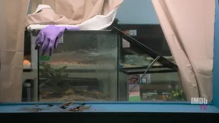 Bug Out S01E02