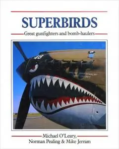 Superbirds: Great gunfighters and bomb-haulers