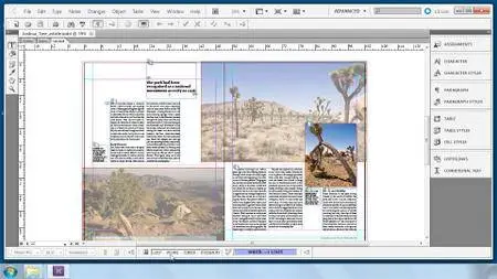 InDesign and InCopy: Collaborative Workflows