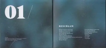 Fink - Resurgam (2017) {R'Coup'D RCPDCD015} (Complete Artwork - 30-page Digibook with lyrics}