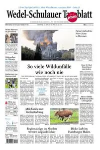 Wedel-Schulauer Tageblatt - 16. April 2019
