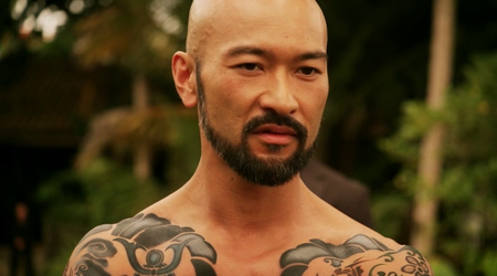 Falcon Rising (2014)