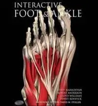 Interactive Foot and Ankle (Primal)