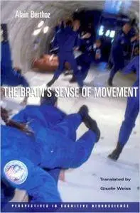 The Brain's Sense of Movement