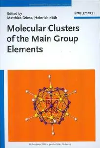 Molecular Clusters of the Main Group Elements