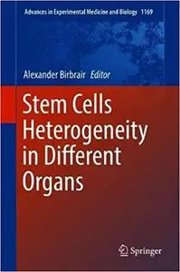Stem Cells Heterogeneity in Different Organs