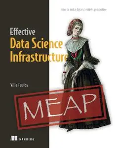 Effective Data Science Infrastructure: How to make data scientists productive (MEAP)