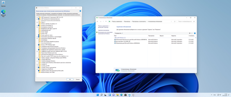 Windows 11, Version 21H2 Build 22000.258 Business & Consumer edition