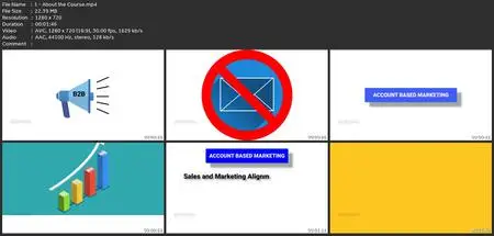 Account Based Marketing (Abm) 2022 - B2B Marketing Strategy