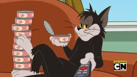 The Tom and Jerry Show S02E04a (2016)