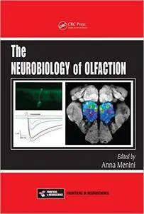 The Neurobiology of Olfaction (Repost)